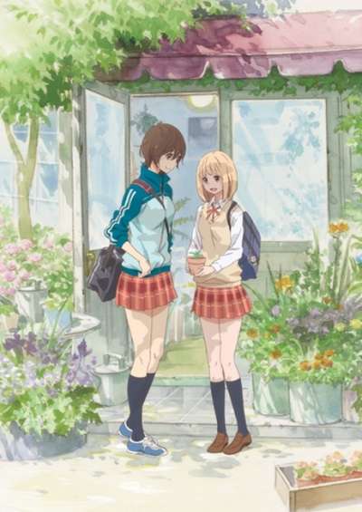 دانلود انیمه Kase-san and Morning Glories